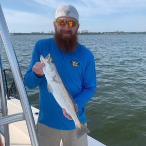 Meet your Posher, Joshua